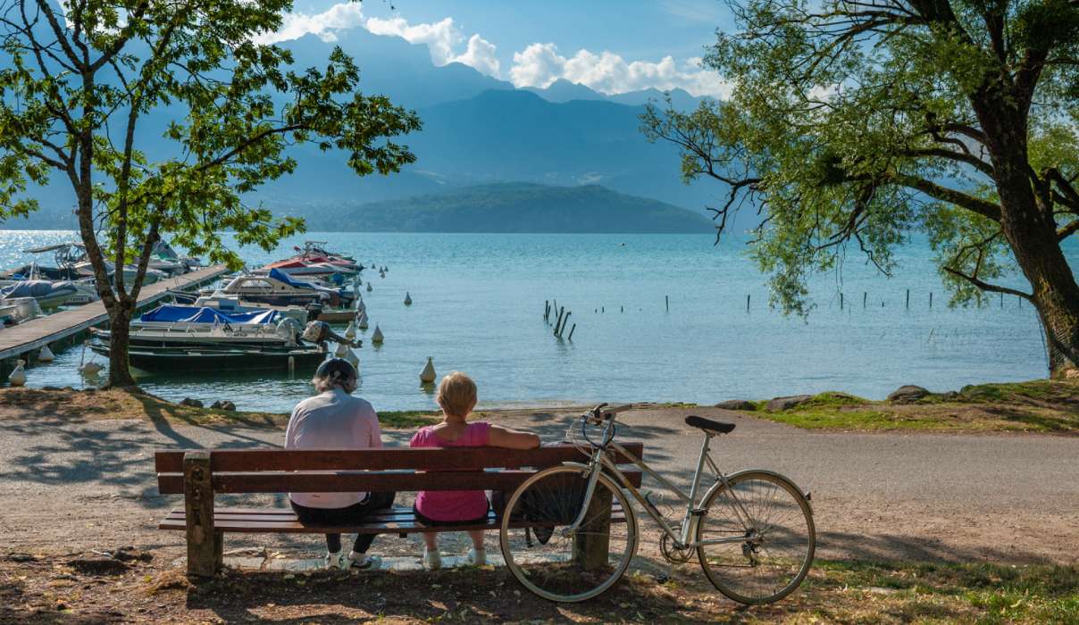 Proyecto nuevo(15)