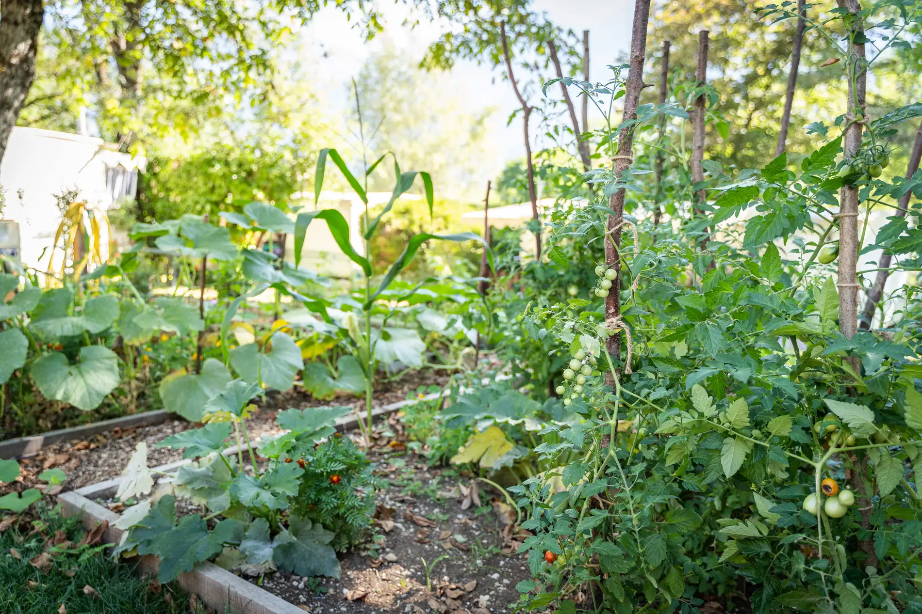 Jardin pédagogique